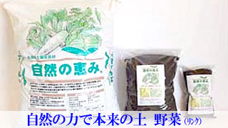 自然の力で本来の土 野菜「自然の恵み-エムスタイル」岐阜県瑞浪市