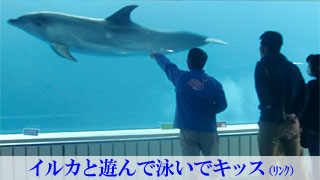 イルカと遊んで泳いでキッス「イルカランド」宮崎県串間市